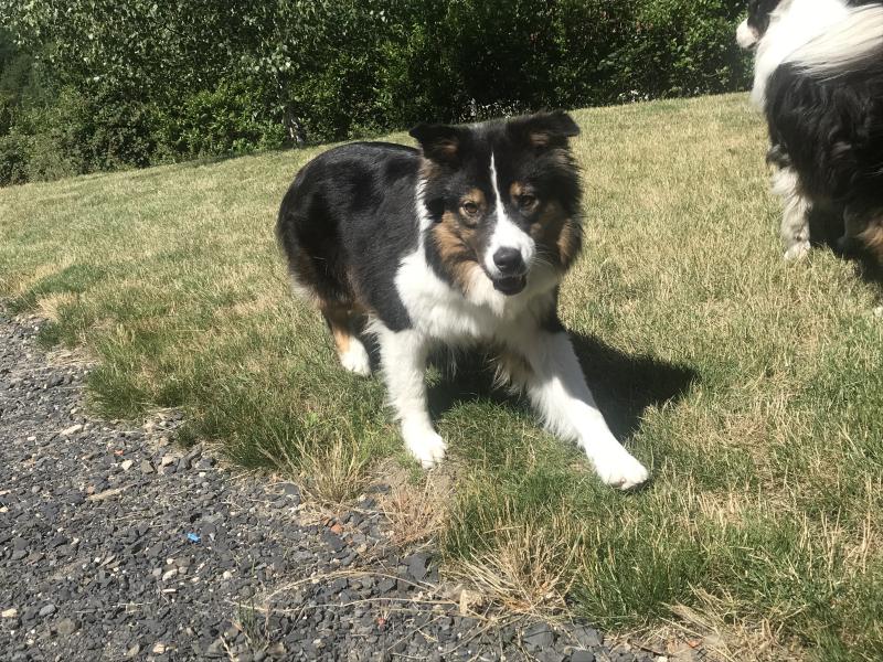 MONEY FOR NOTHING DU CHEMIN DES KORRIGANS