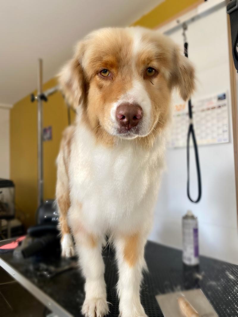 AENOR'S PARLA BARBEDE MERLIN