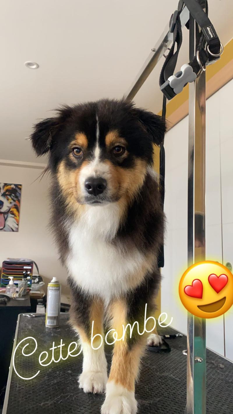 REPIT GODDESS RENEWAL DU DOMAINE DU BOST