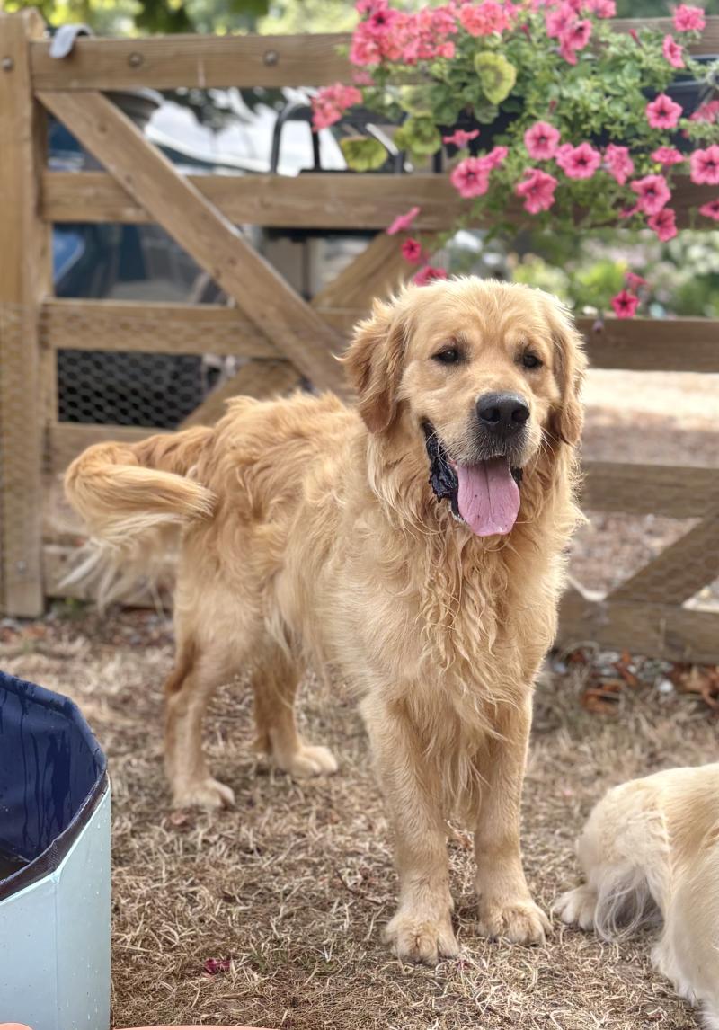 RAIHITI ELIXIR D AYDOILLES