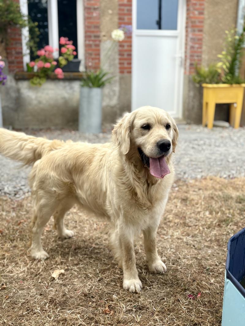 SANKA DE LA GABRIERE