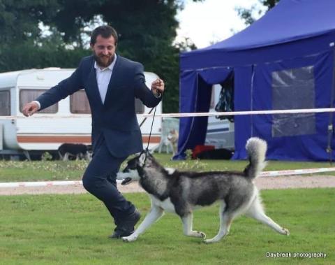 RIGHT NOW OR NEVER DE DAYBREAK NORTHERN