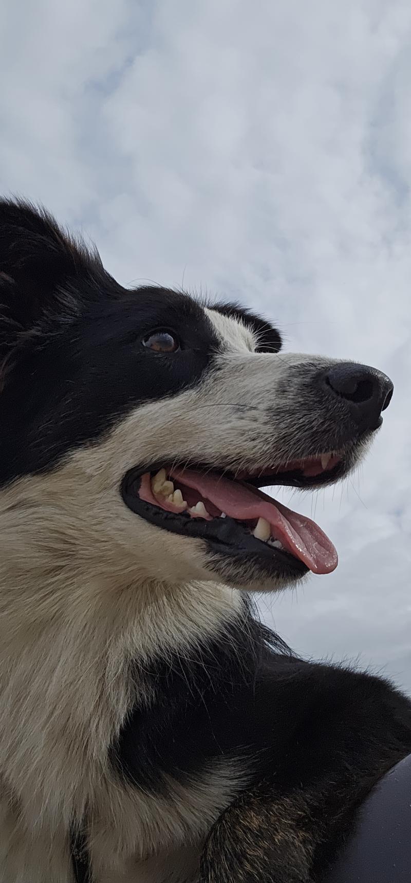UPLABOOM DES LACS DE LA COTE D'ARGENT