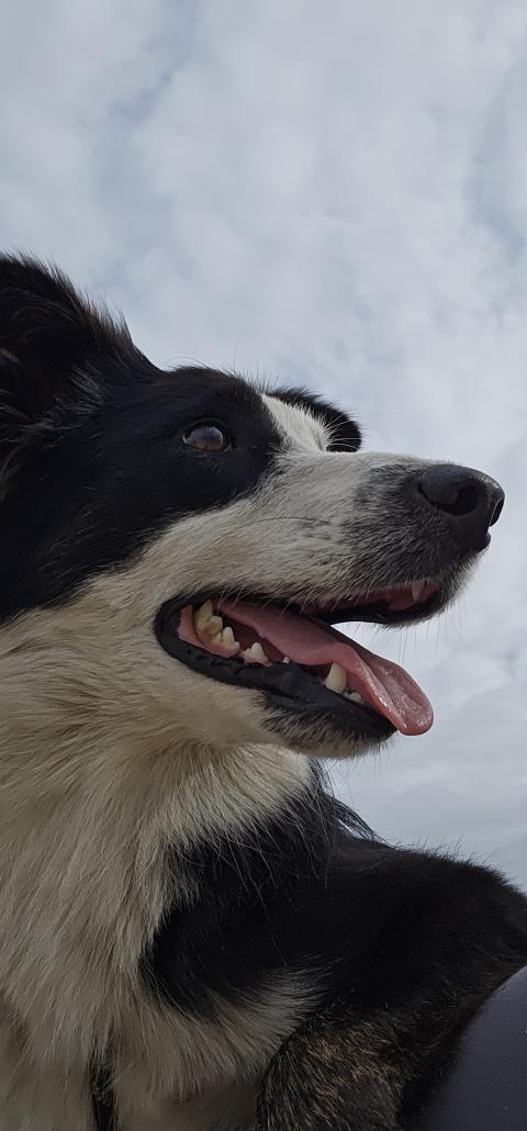 UPLABOOM DES LACS DE LA COTE D'ARGENT