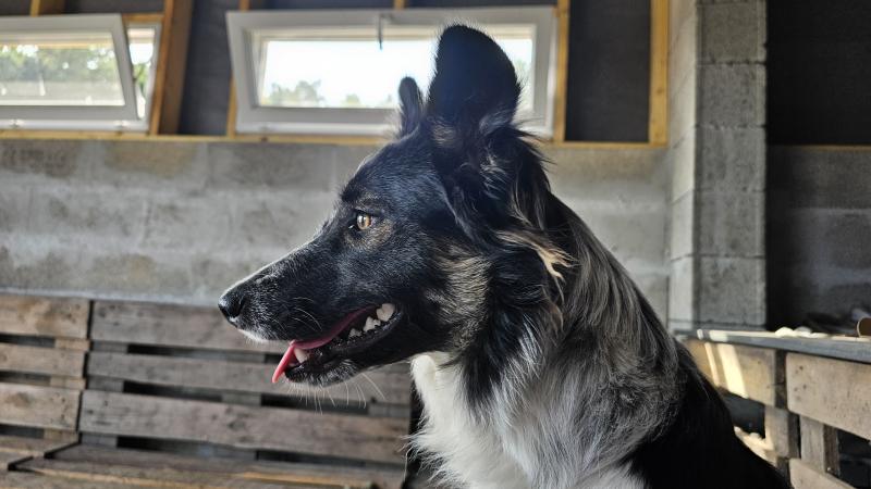 ULALA DES LACS DE LA COTE D'ARGENT