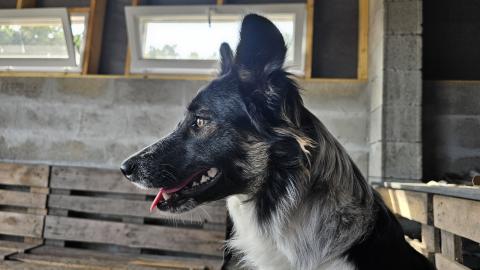 ULALA DES LACS DE LA COTE D'ARGENT
