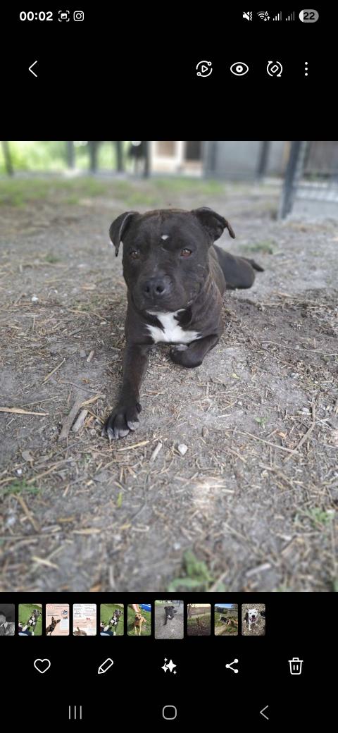 SALAMECHE DE LA SKYLE ARENA