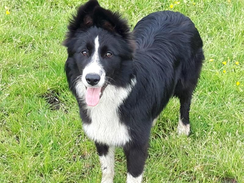 PERLE DES LACS DE LA COTE D'ARGENT