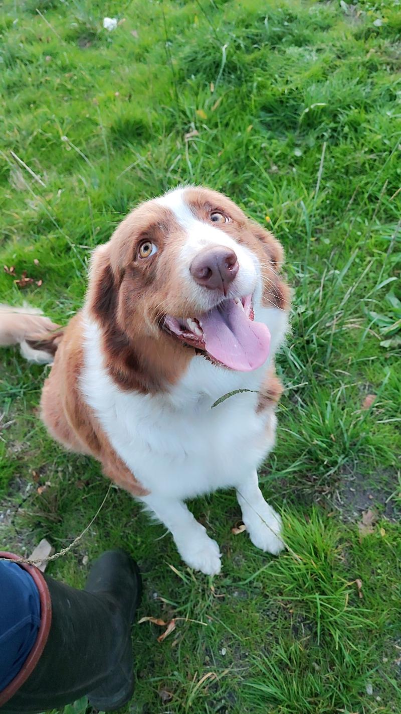 USHUAIA DE JAPP'-LUNE