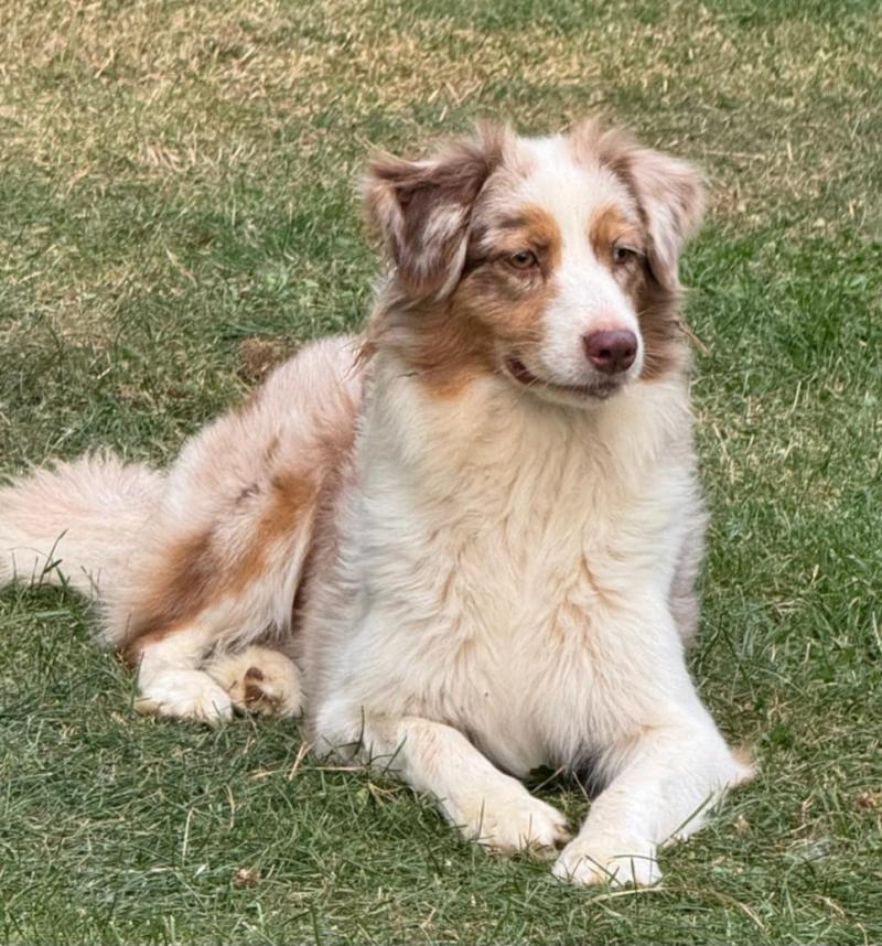 ISIWUN' TWELVE YEARS A SLAVE