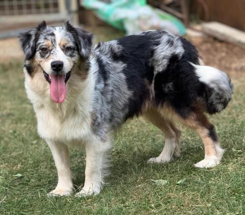 ISIWUN' SOMETIMES LESS IS MORE