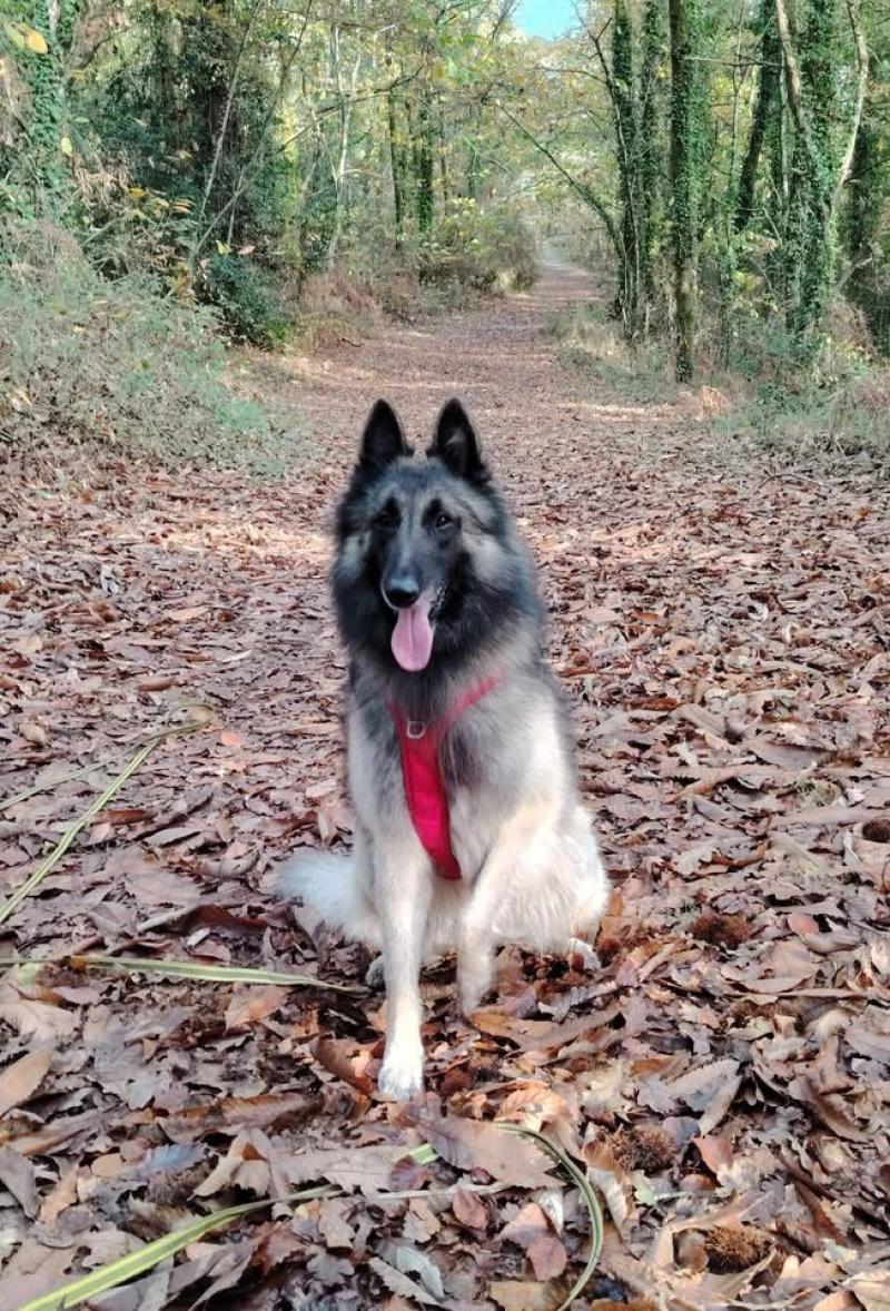 SPARROW DU GRAND LILOT