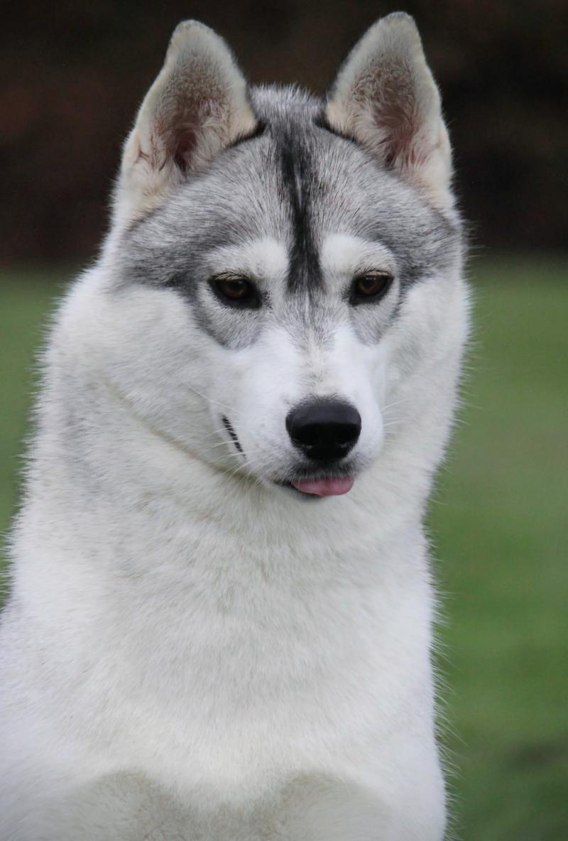 UNDER-THE-LIGHT DES SARMENTINS