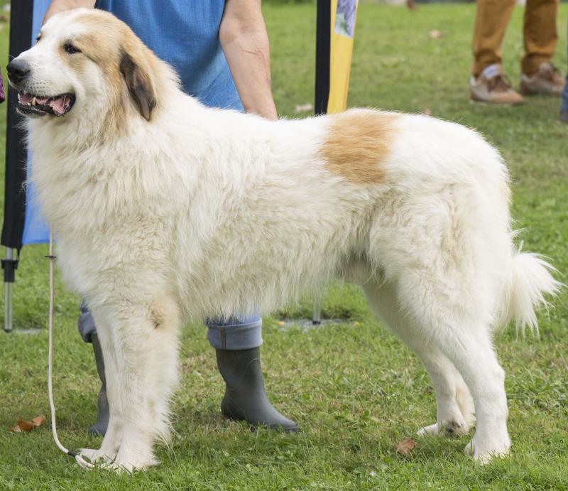 UCHAN DE LA VALLEE DU GIROU