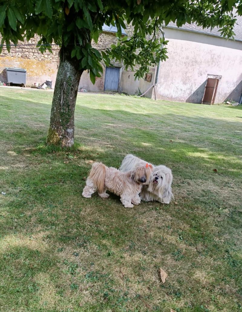 TRISKEL DES MILLE ET UNE TRUFFES