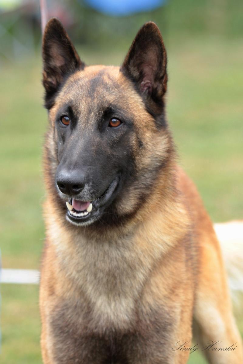 UGH DE LA BERGERIE DES BONS SOINS