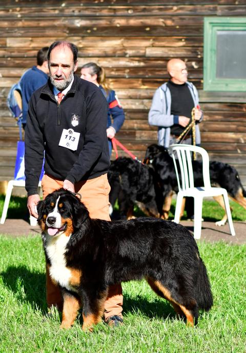 SETE DE LA FERME DE LA PESSOUTIE