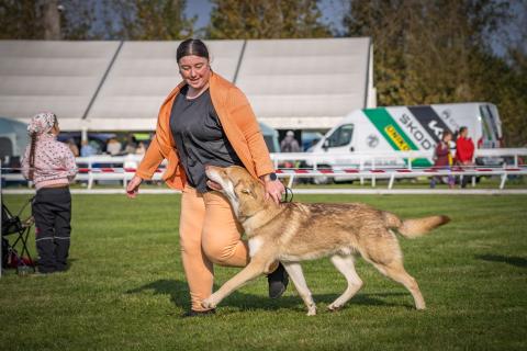 UTGARD'S FORTRESS SKYRMIR DES TERRES DU VALHALLA