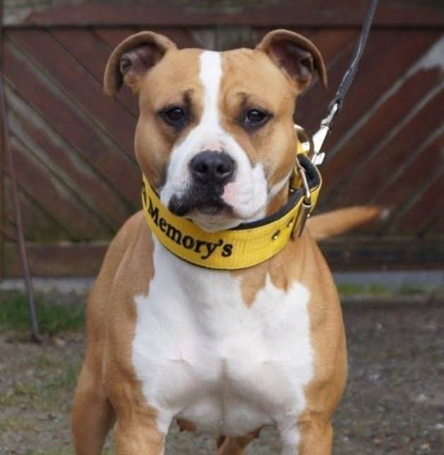 AROUCH MEMORY'S PAPEL