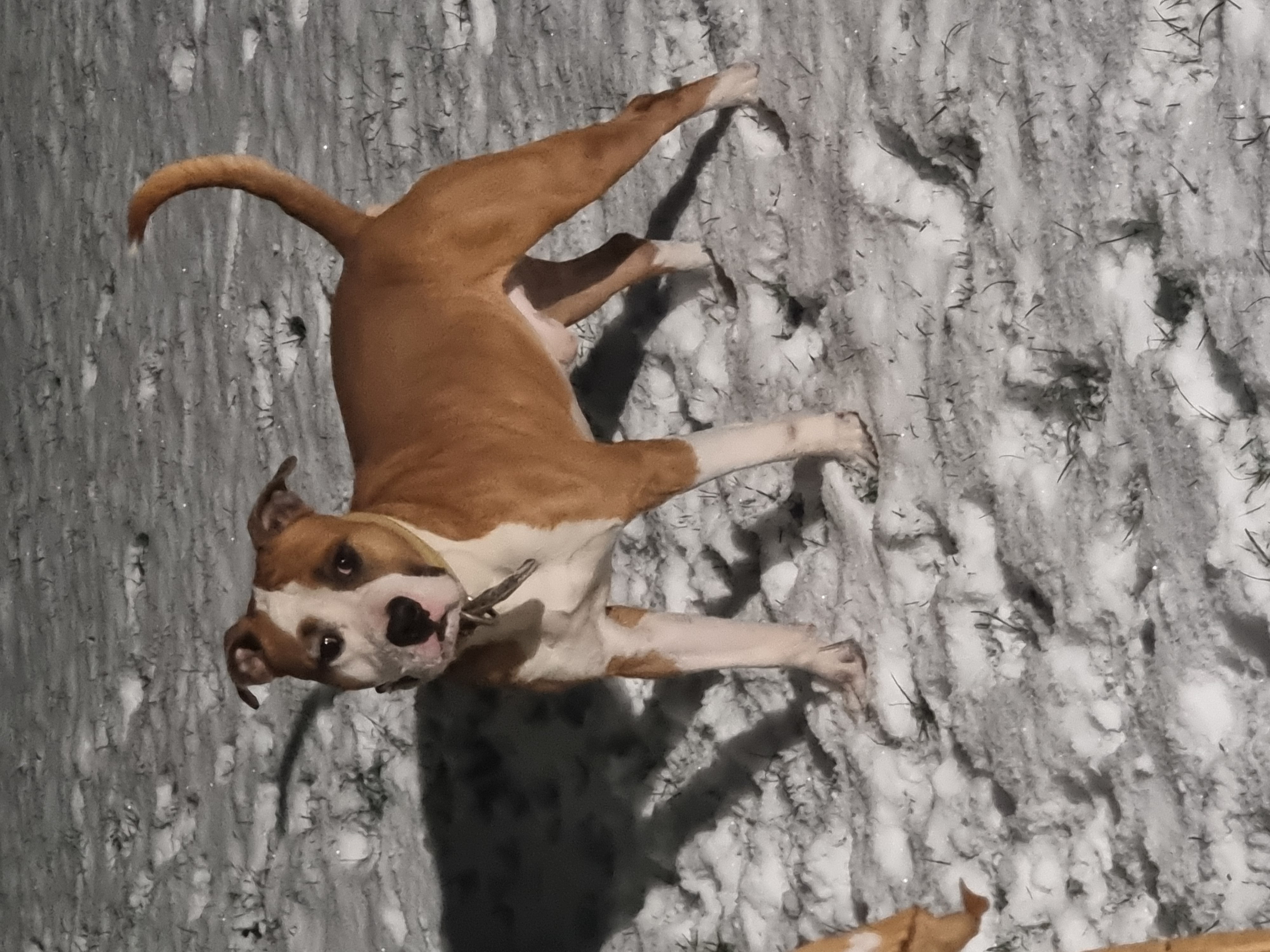 AROUCH MEMORY'S US STRONGER