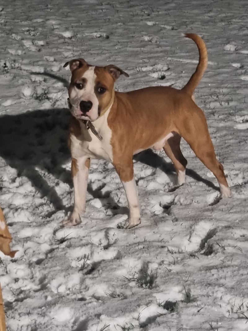 AROUCH MEMORY'S US STRONGER