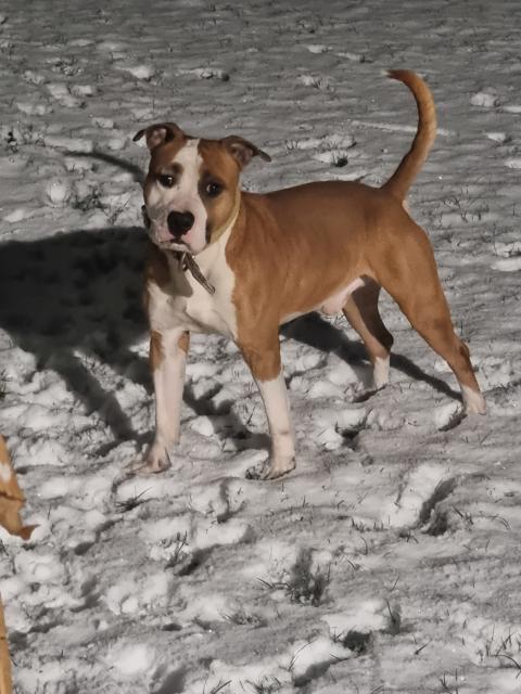 AROUCH MEMORY'S US STRONGER