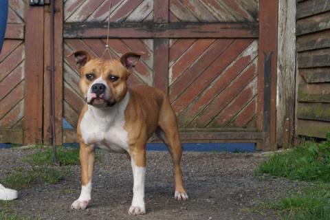 AROUCH MEMORY'S SAVED MY LIFE SIA