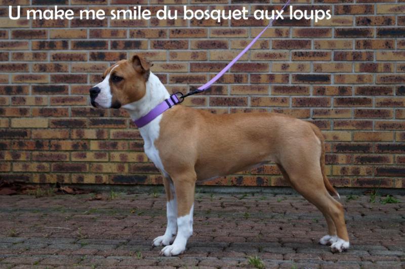 U MAKE ME SMILLE DU BOSQUET AUX LOUPS