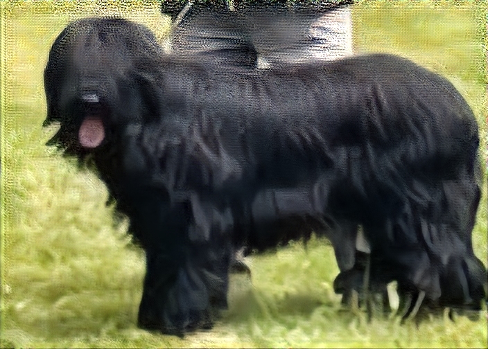 FIDELIA VAN WUFF AND COKG