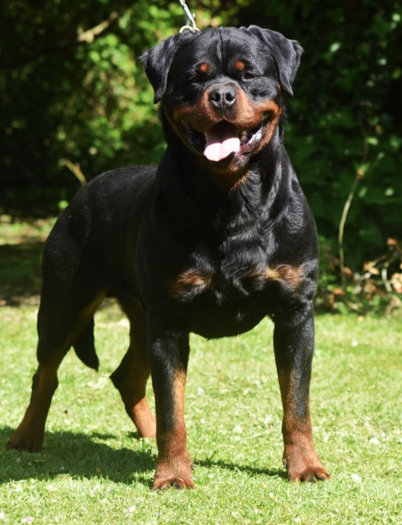 S'CROC VOM OWANE'S PARADISE