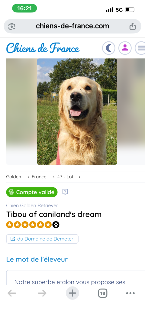 TIBOU OF CANILAND'S DREAM