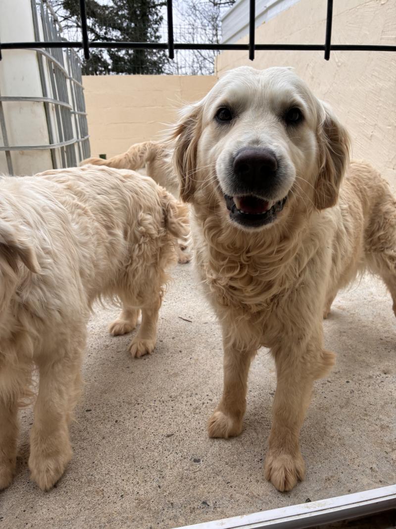 SUNNY DES JARDINS DE CONROS