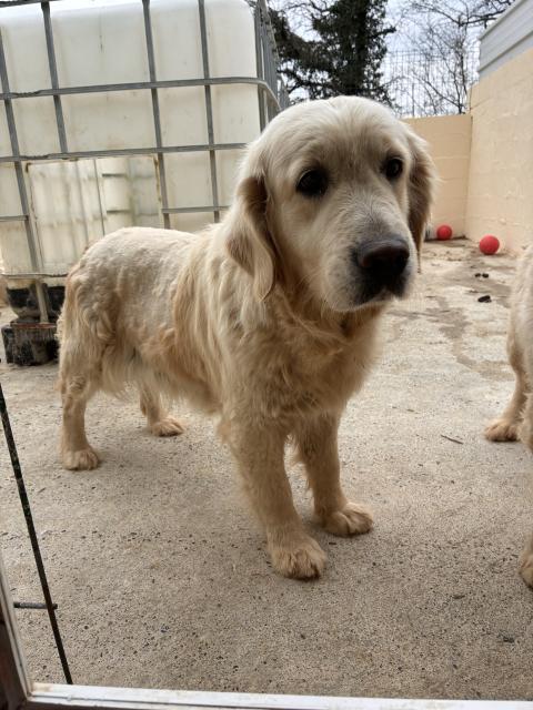 UNIKE DE LA TERRIBLE MENEE