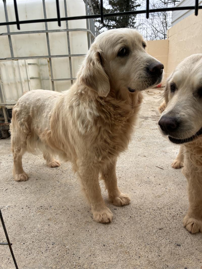 TALIA DES COTES ROCHEUSES