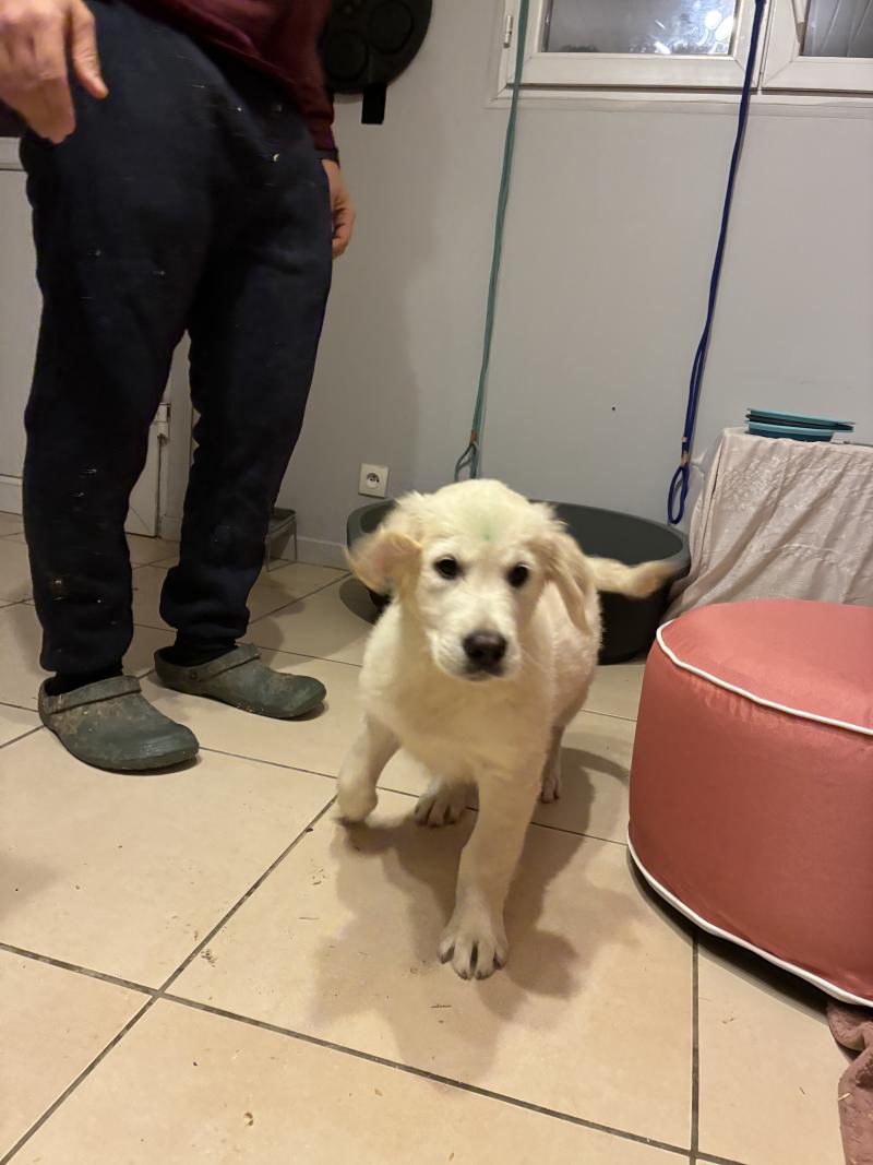 VROUM DES BOIS RONFLANTS