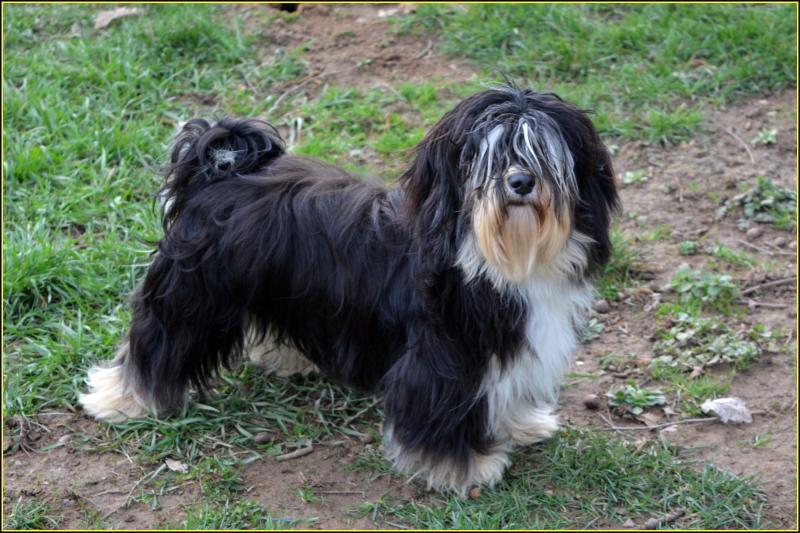 ULALA VALENTINE DU BUISSON DE LA PASSEE