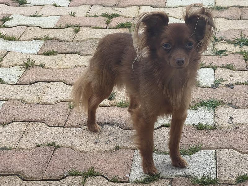 RAN-EPSILON DE LA PETITE RIVAGERIE