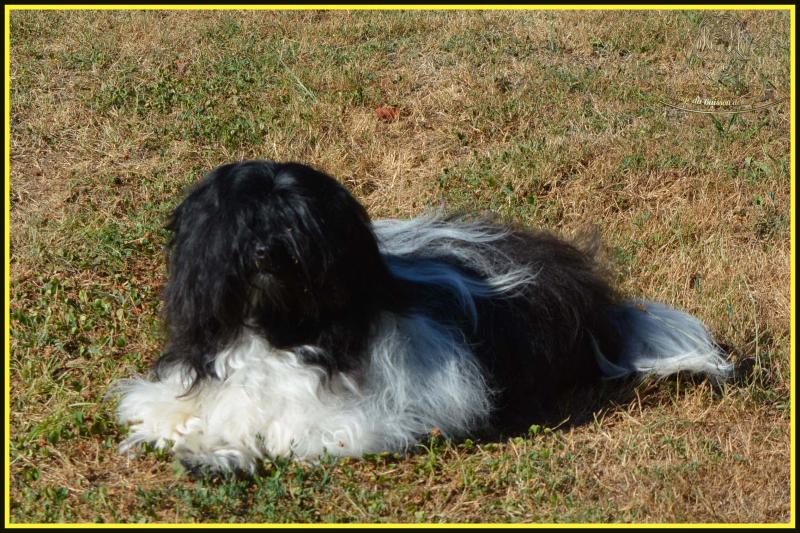 SARLAT DU DOMAINE DES HAUTES PRAIRIES