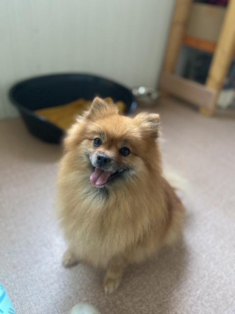 OPA DU JARDIN DES MERVEILLES