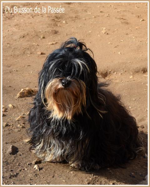 KIRALYERDEI-BARSONY XANNA