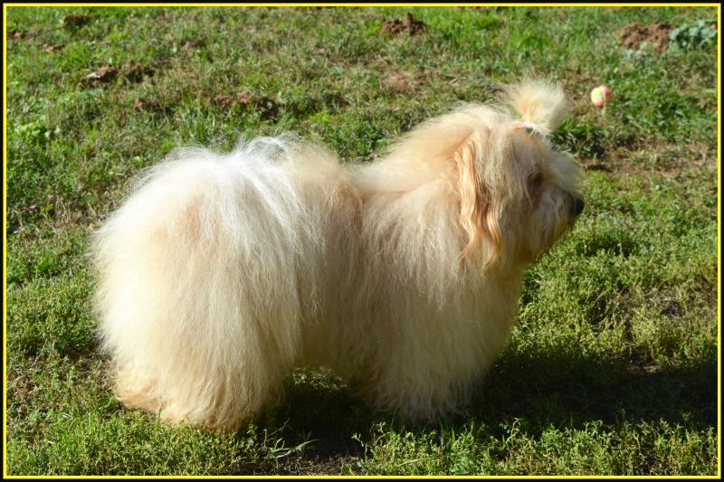 UN BONHEUR COEUR DE MASAI