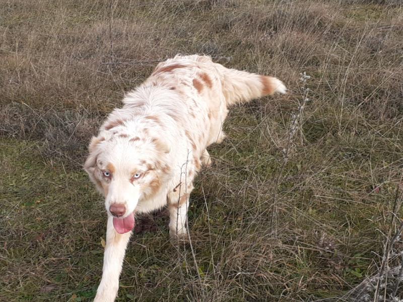 TARA L'AMAZONE DES CHAMPS DE BEYSSAC