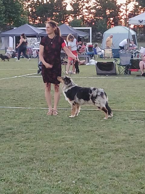 VOXIE DES ASSARDS DE PIERREGOURDE