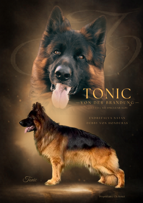 TONIC VON DER BRANDUNG
