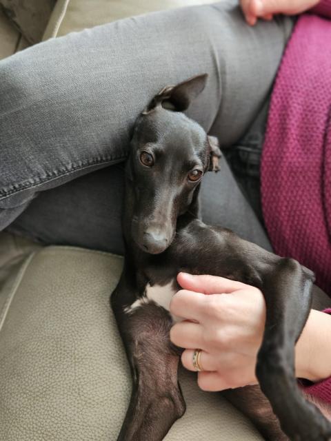 UN DEUX TROIS SOLEIL DES PIERRES DE JADE