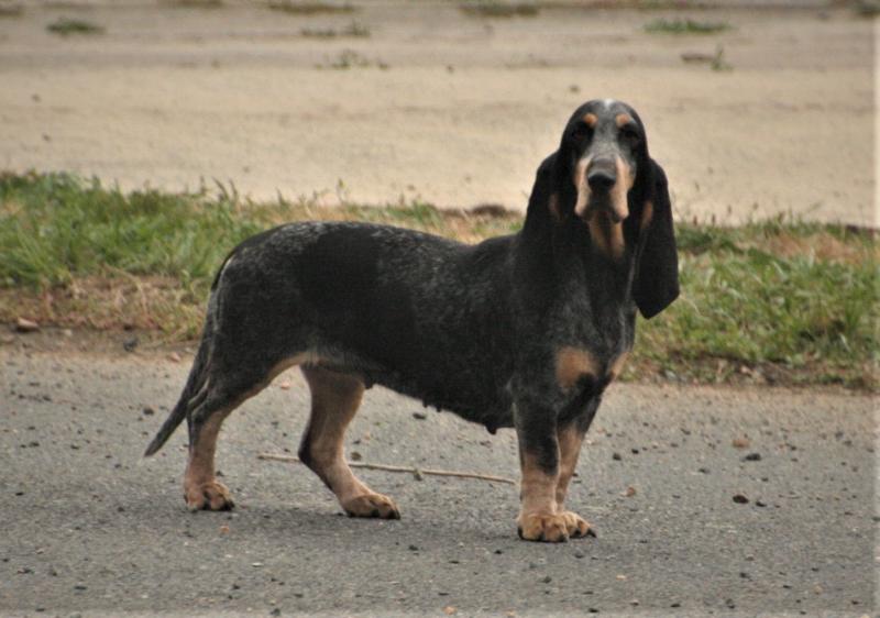 PRUDENCE DES VALLEES LONGERONNAISES