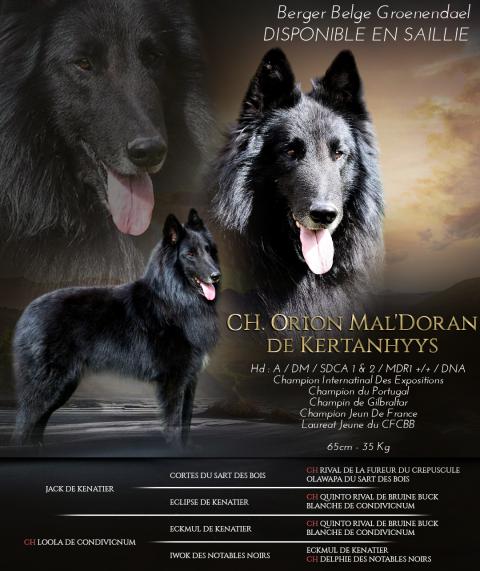 ORION MAL'DORAN DE KERTANHYYS