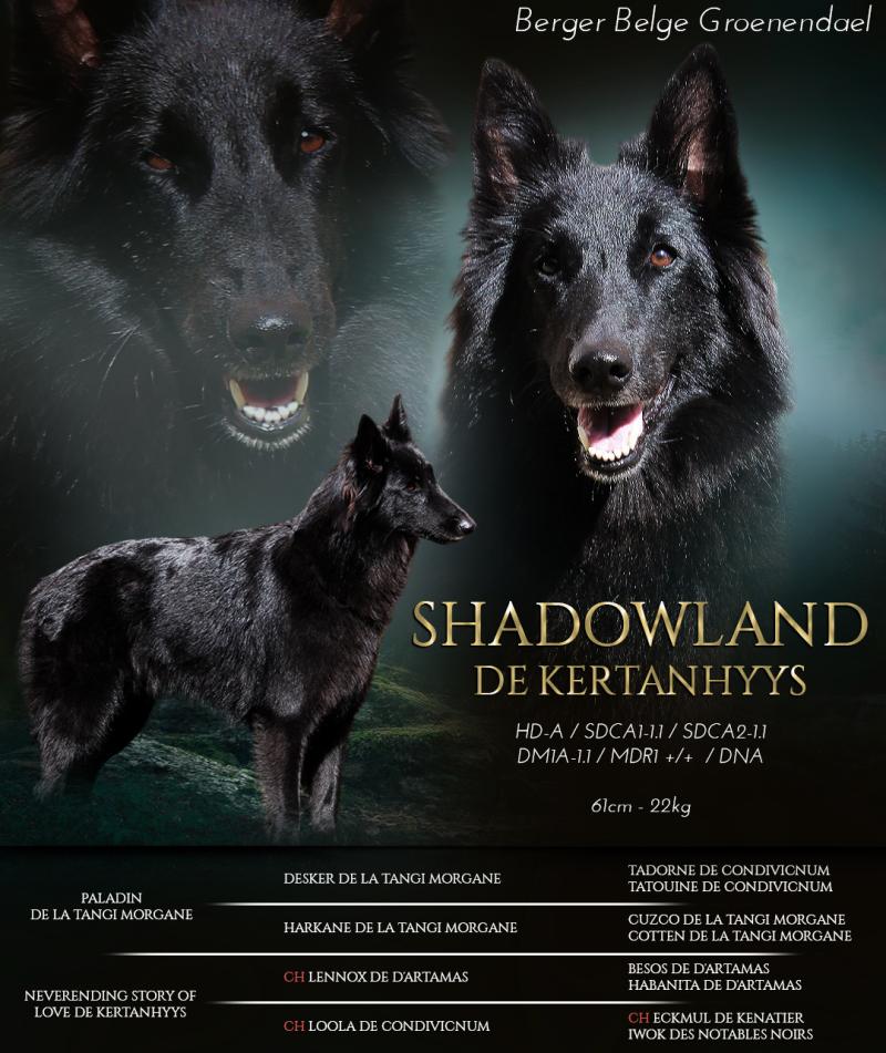 SHADOWLAND DE KERTANHYYS