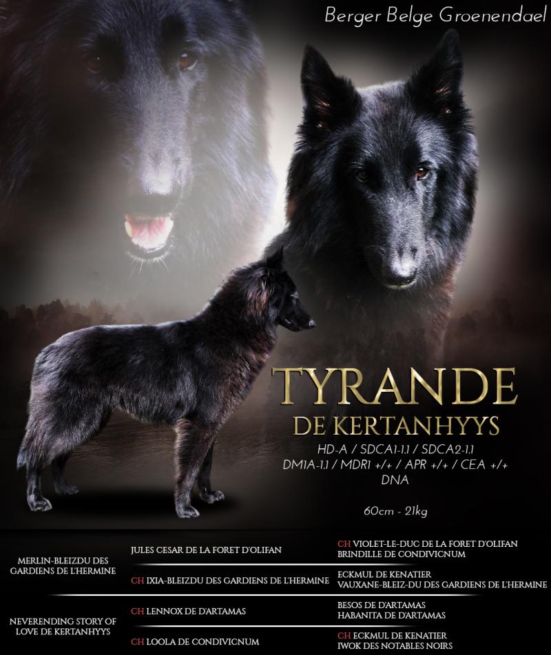 TYRANDE DE KERTANHYYS