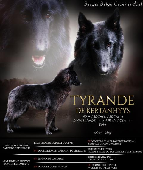 TYRANDE DE KERTANHYYS